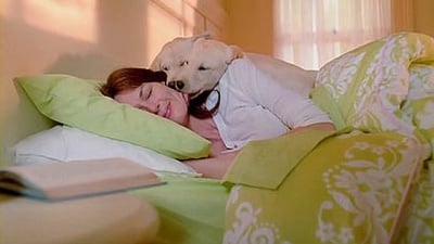 Целувки за добро утро