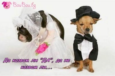 "В добро и лошо, в радост и сълзи ..."