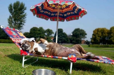 "Размазване" от кеф