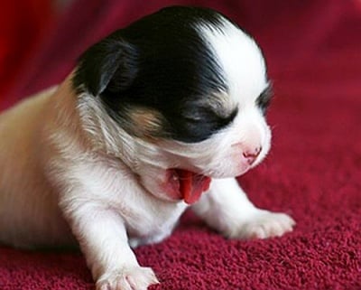 "Много ми се спи!"