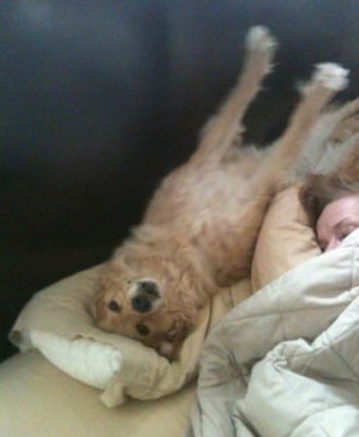 Опаланка-а-а-а