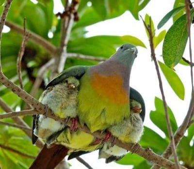 Майчина прегръдка ♥