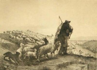 Овчар и стадо