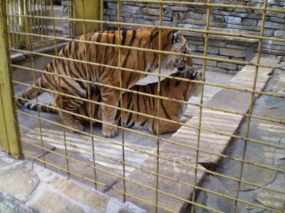 парк "Аязмото" - гр. Стара Загора