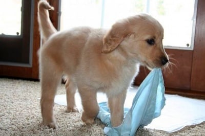 "Ще помогна на мама с прането"