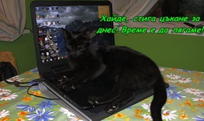 Вече заспиваме на компютъра ...
