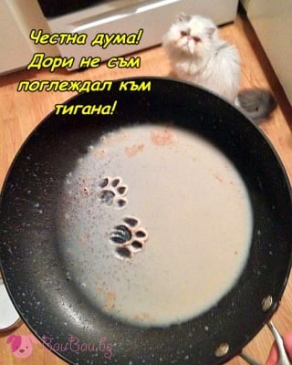 Абсолютно невинен