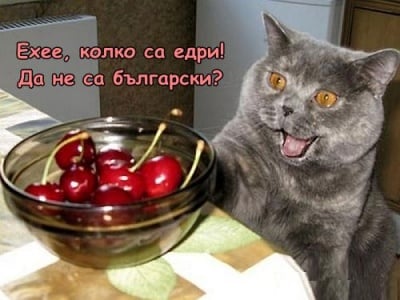 Хайде на сладките череши!