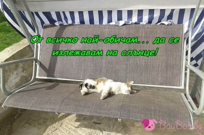 Айлякът е най - сладката работа