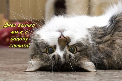 Ама, че странен ден!