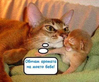 Аромат на новородено бебе