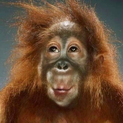 Автопортрет