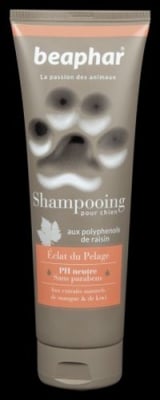 Възстановяващ шампоан за кучета с екстракт от манго и киви