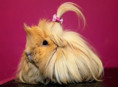 Прическа за събота вечер