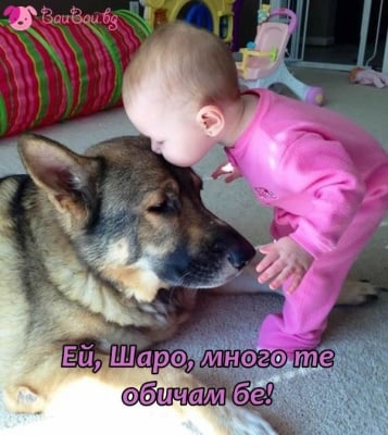 Любов ли бе да се опише с думи ...