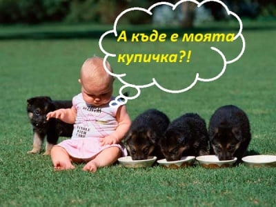 "Мама е забравила моята купичка"