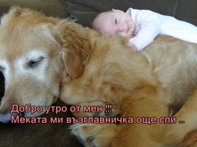 Буден и заспал