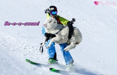Най - новият зимен спорт