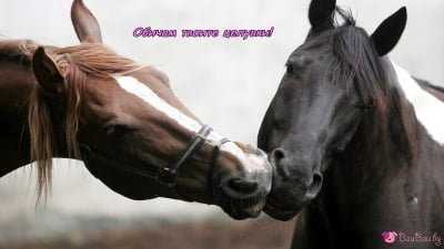 Любовта е навсякъде около нас