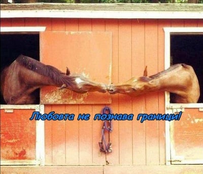 Безгранична любов