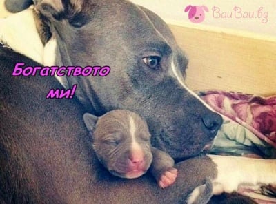 "Спинкай спокойно до мама!"