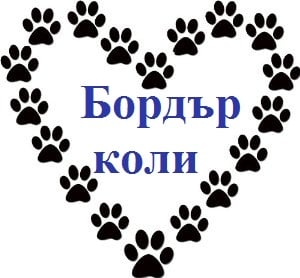 "През очите" на един стопанин