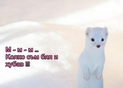 "Хубав ли съм?