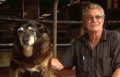 Браян и Маги