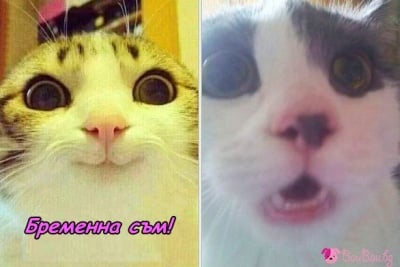 "Скъпи, бременна съм!"