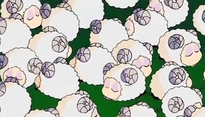 1 овца, 2 овце, 3 овце ...