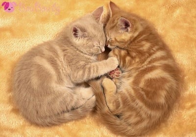 "Бъди до мен!"