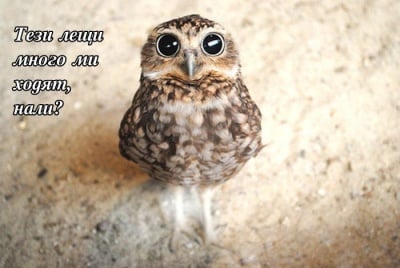 Отиват ли  ми новите лещи?