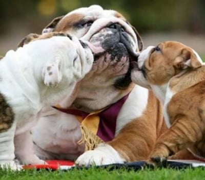 По една целувка за мама