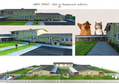 Бургаска зоозащитна фондация изгражда първи по рода си Спасителен център за животни в беда