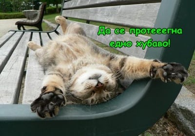 Добро утро-о-о!