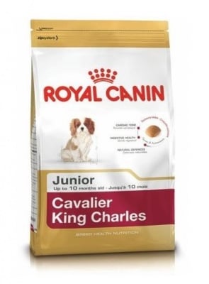 "Cavalier King Sharles Junior" - Храна за Кавалиер Кинг Чарлз Спаниел до 10 месеца