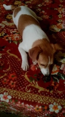 moite  priqteli istinskite  sakrovi6ta.