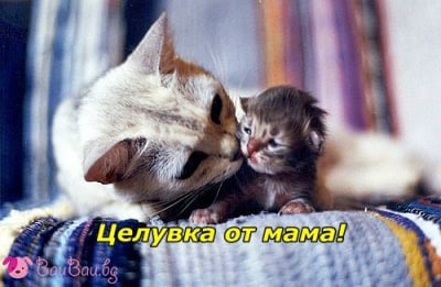 Нежна целувка за Добро утро