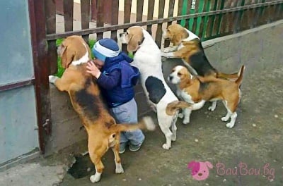 Чакаме си вечерята-а-а!