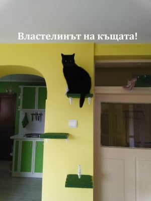 Властелинът на къщата