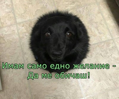 ...когато очите казват всичко!