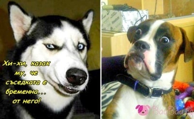 Честит 1-ви април! :)))