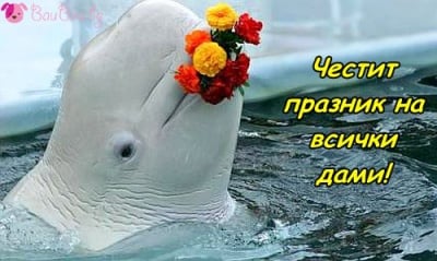 Поздрав за 8-ми март