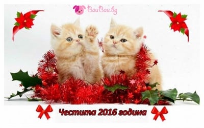 Честита 2016 година