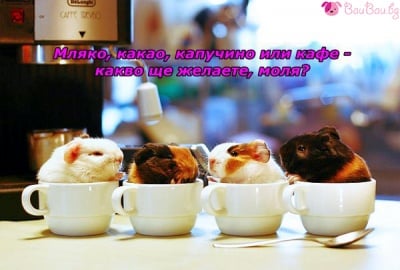 Нещо топло и сладко