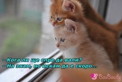 Дъждовно утро