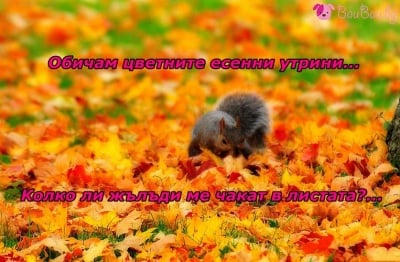 Цветно есенно утро