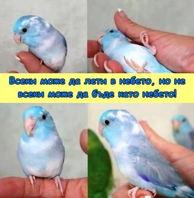 Да бъдеш като небето!