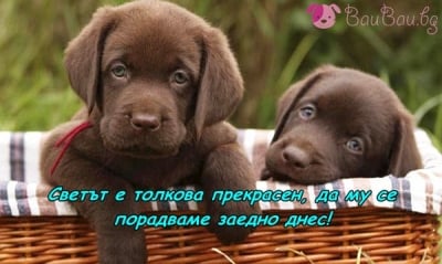 Да кажем "Добро утро" на света!