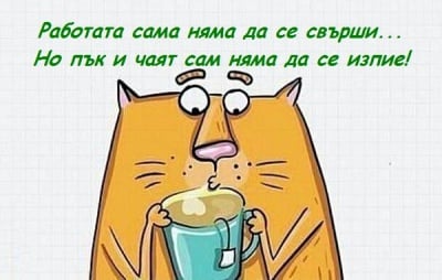 За къде сме се разбързали?